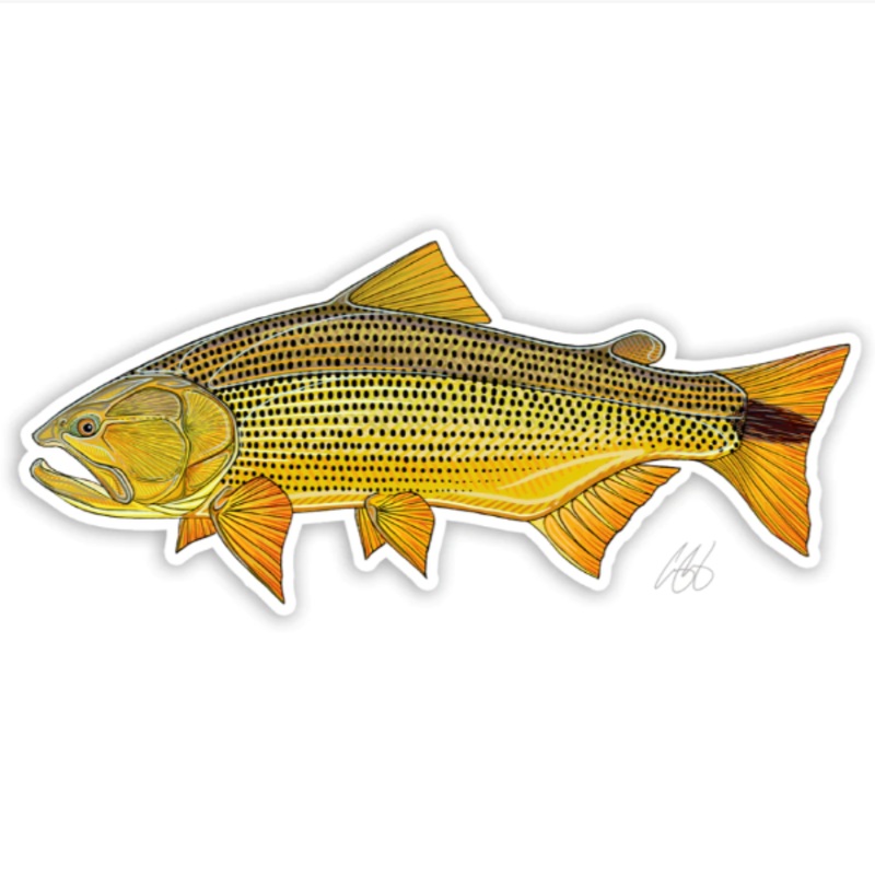 Casey Underwood Golden Dorado Decal