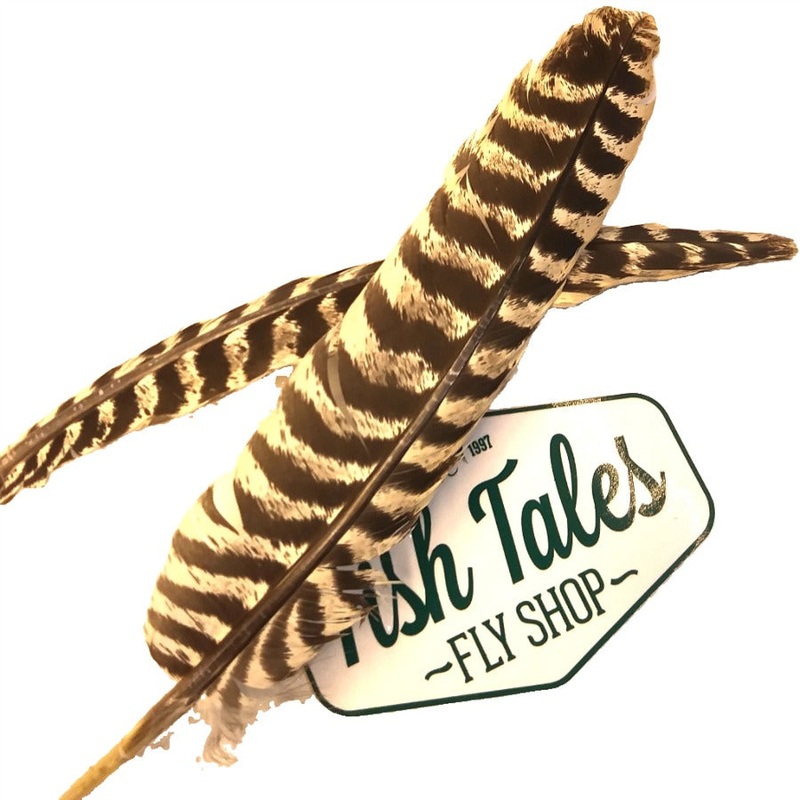 H&H Turkey Wing Quill Pair