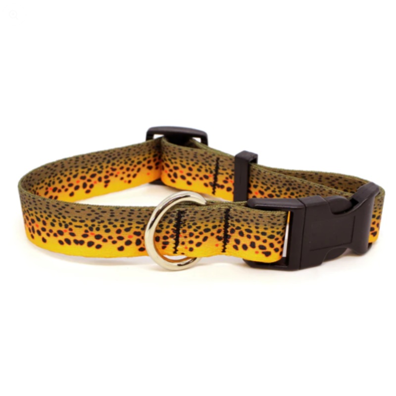 Rep Your Water Dog Collar