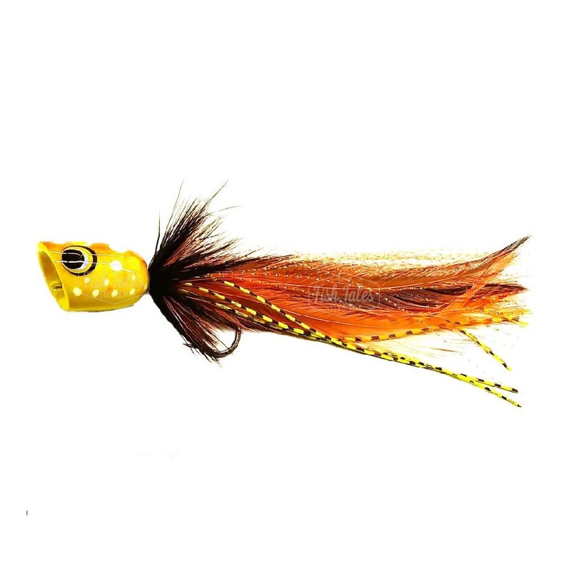 Catch Flies Catch's Pied Popper