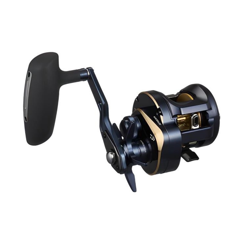 Daiwa 25 Saltiga Overhead Reel