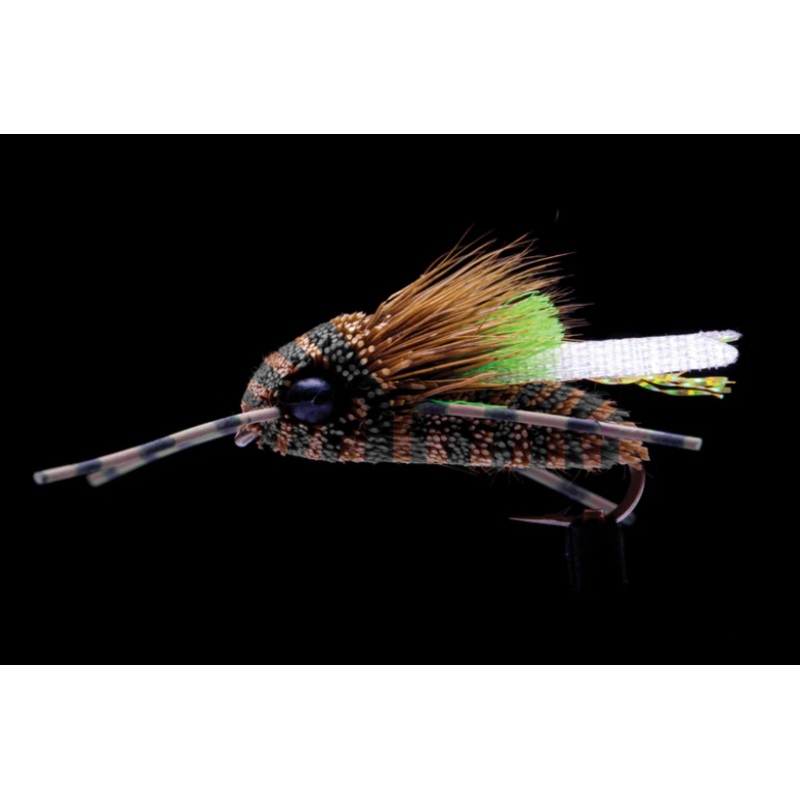 Manic Fly King Cicada