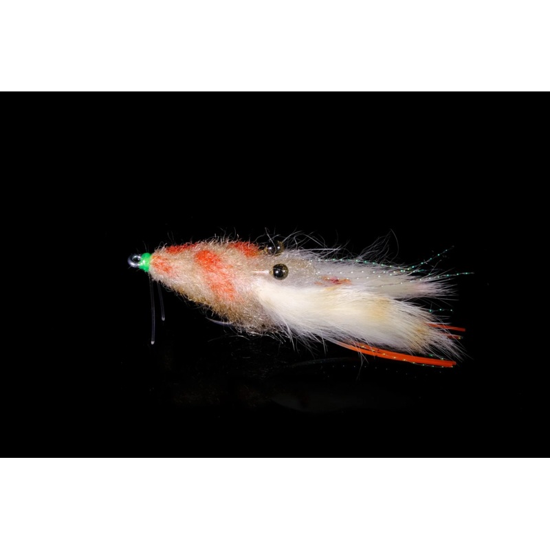 Manic Fly Mangrove Crab