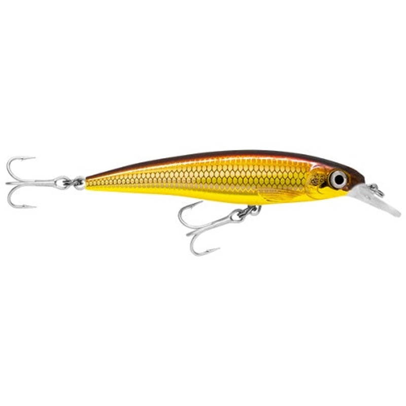 Rapala X-rap Saltwater Sxr10 100mm 13g Hard Body Lure
