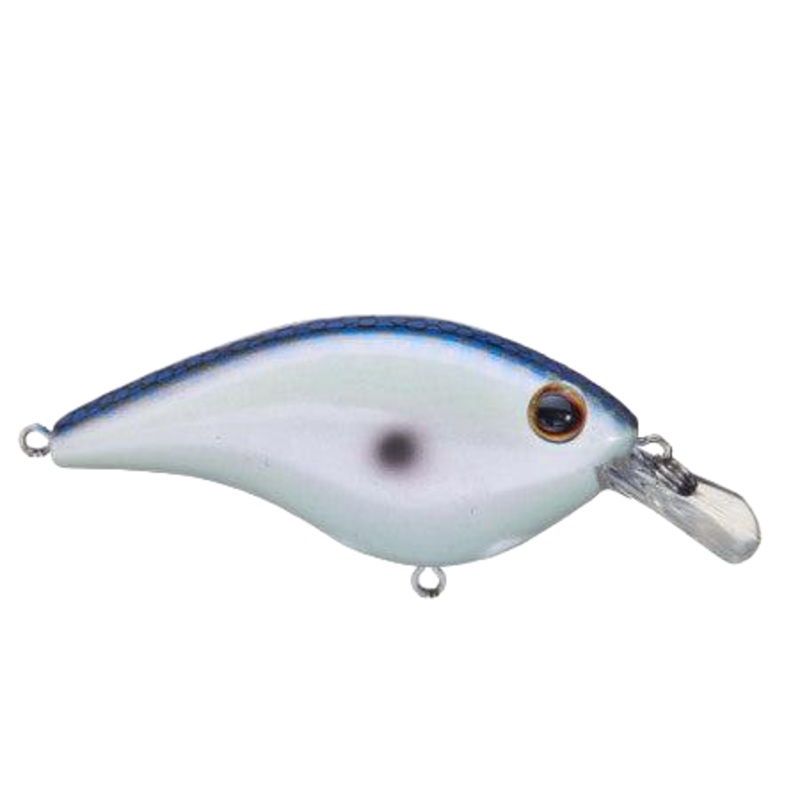 Berkley Frittside - kentucky Blue