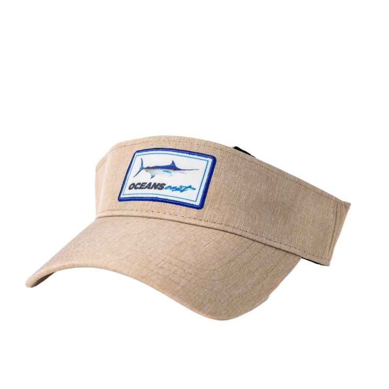 Visor 2021