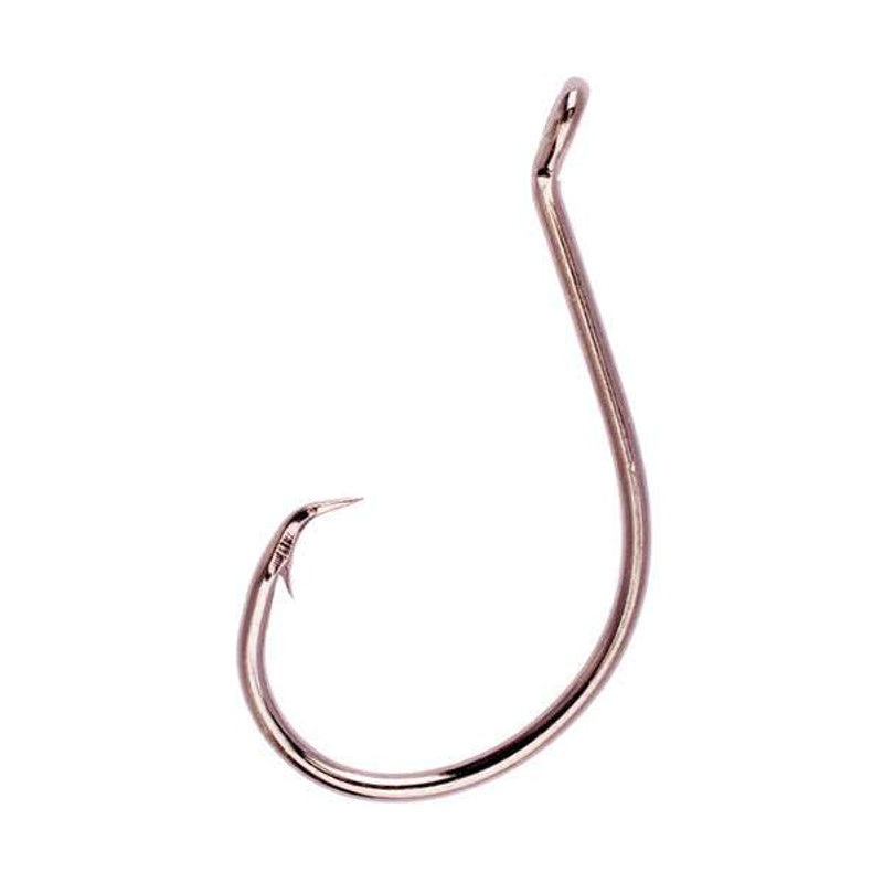Eagle Claw Lazer Circle Up Eye Non-Offset