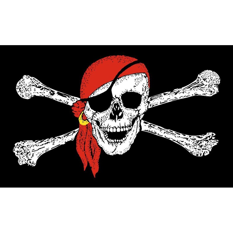 The Surf Fishing Guy 2' x 3' Flag
