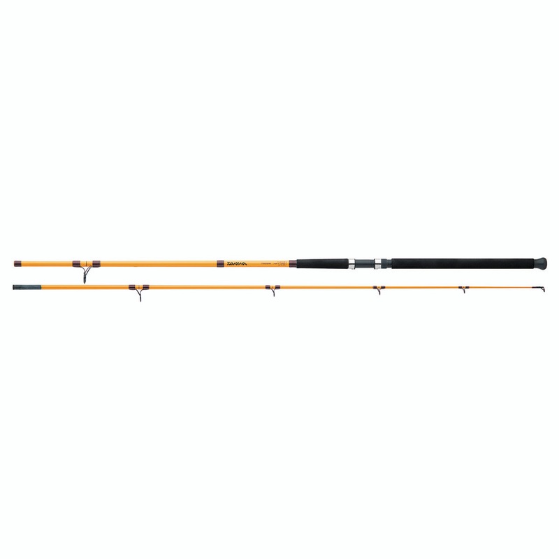 Daiwa FTS Surf Rods