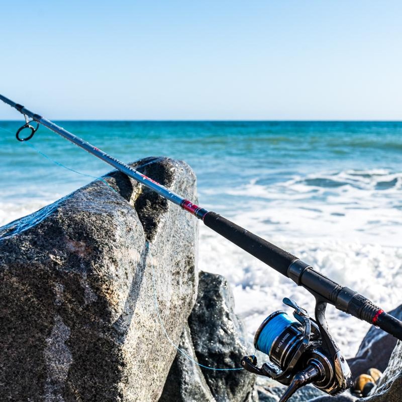 Team Daiwa Surf Rod
