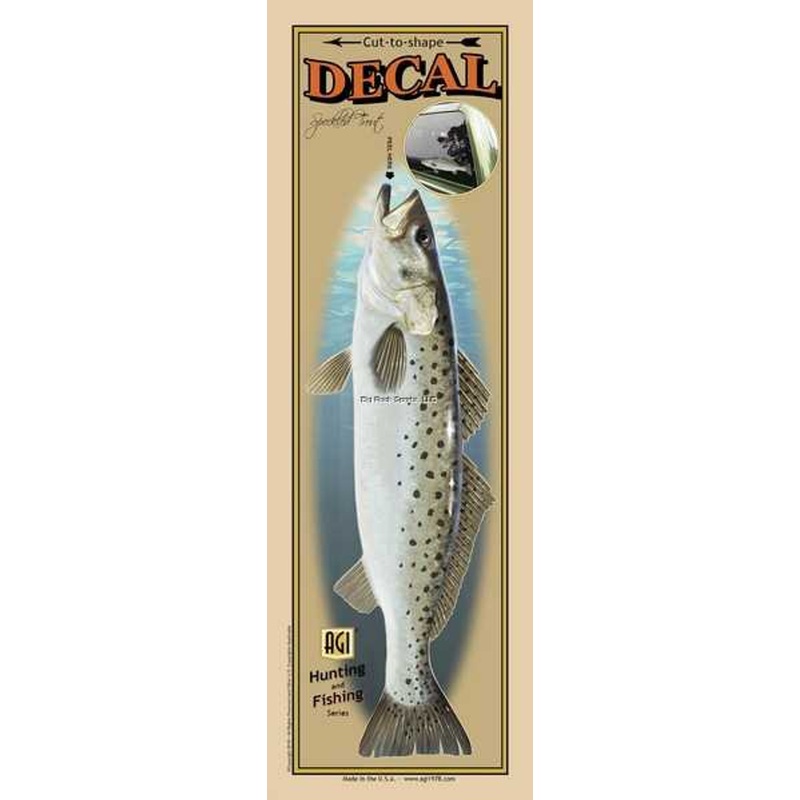 Salty Bones BPF2501 Decal, Profile