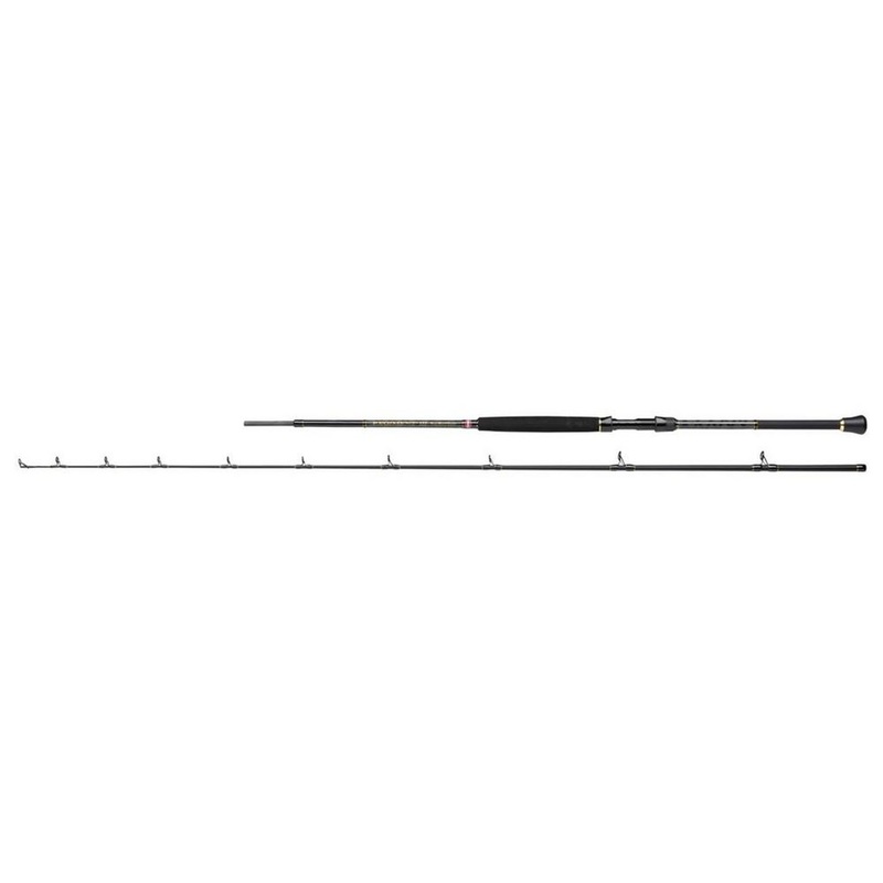 Penn Regiment III 20-30lb Braid Boat Rod