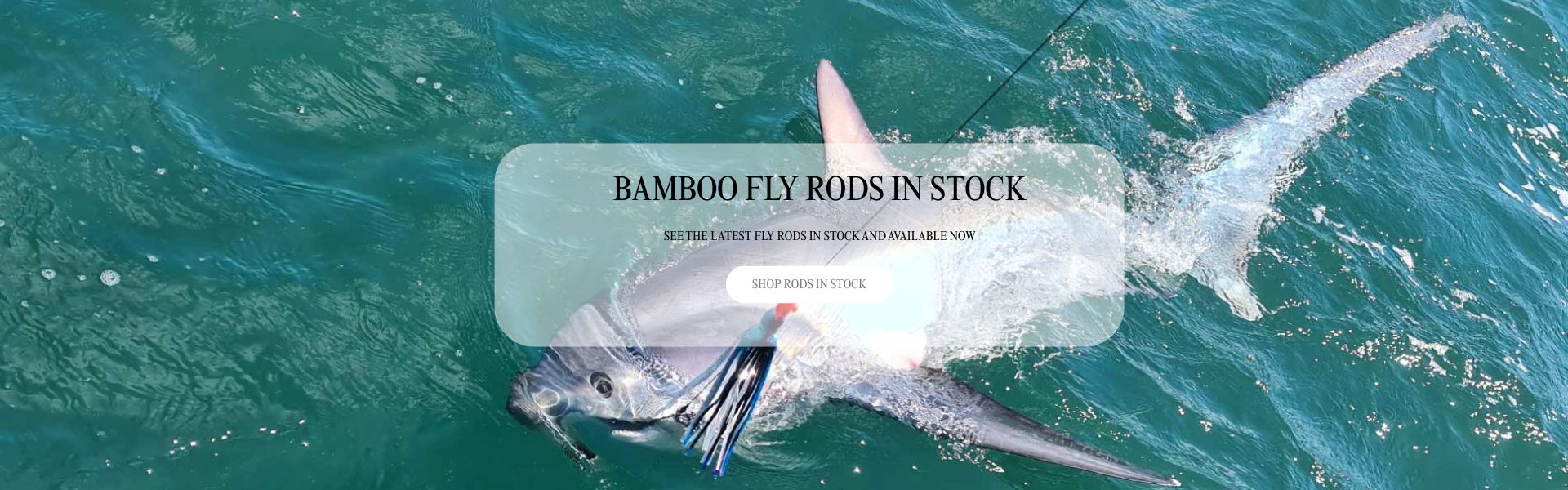 Huge Selection of Fishing Rods & Tackle | Best Prices